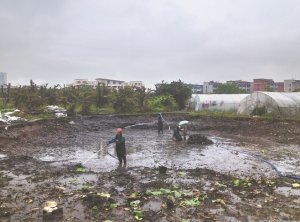 普陀河道鱼塘清淤